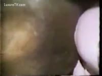 A teen obtains enjoyment of animal sex by putting knob into the anal